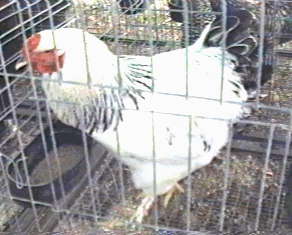 Photo of 