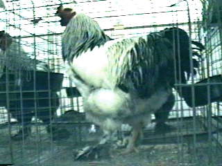 Photo of 