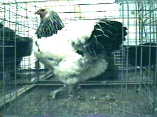 Photo of 