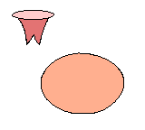 Egg is layed