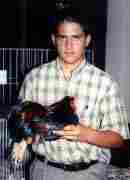 Partridge Wyandotte bantam